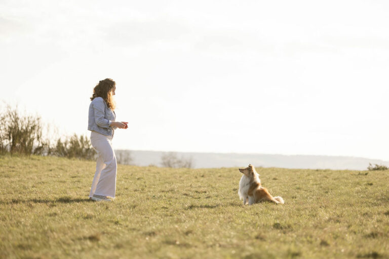 duo maitre-chien regard