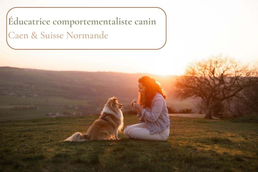 Educateur canin Caen